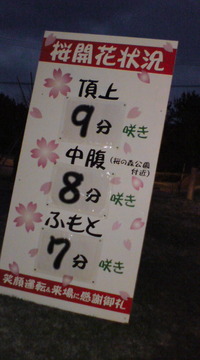 今日の八重岳