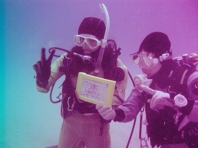 おめでとう 100dives
