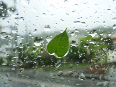 通り雨のあとで