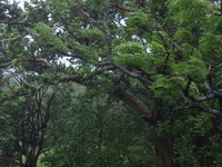 台風9号最接近中！！！ 2011/08/05 13:17:27