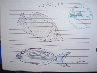 ログブック　