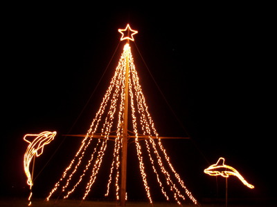 クリスマスイルミネーション in 本部