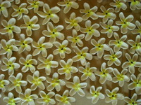 ご注文品　完成！！！ 2011/05/25 11:17:26