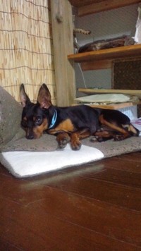 良い使い方。 2011/09/12 20:29:51
