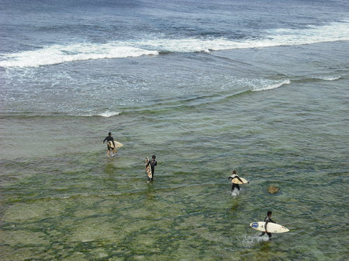 No　Surf　Day・・・