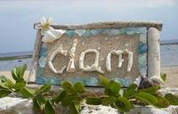 ☆clam 看板完成☆