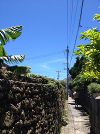 サーフィン練習 2012/06/24 13:55:16