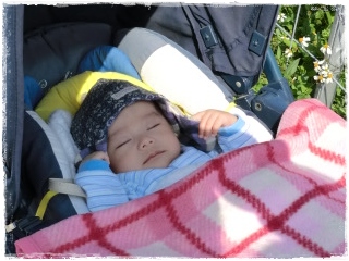 初散歩★ぽかぽかマルシェへ