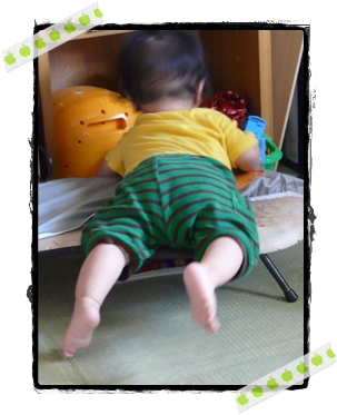 後追いはじまる