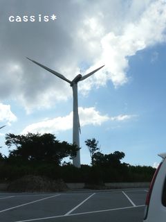 フリマ in 糸満観光農園