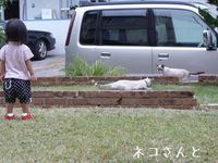 ネコちゃんはおともだち