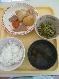 カロリー制限食　２日目