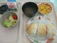 カロリー制限食　３日目