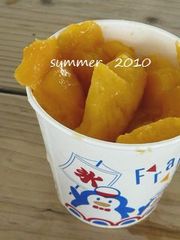 夏の思い出　２０１０