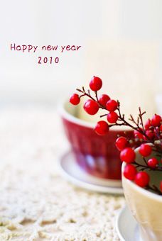 あけましておめでとう　２０１０