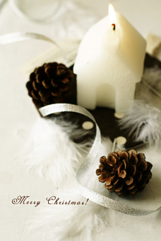 メリークリスマス　２０１２