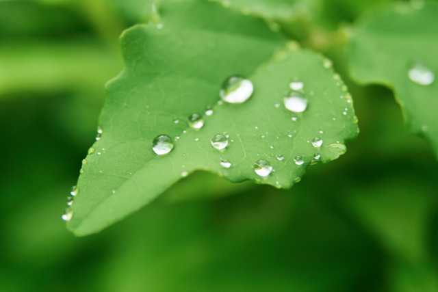 天気痛・気象病でてんかん発作が起こるので気をつけましょう！