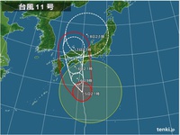 今日は良い天気でもあったのですが、台風がきて風が強くなり始めてます。 2015/07/15 22:18:39