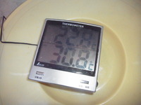 温めてみる。 2013/04/07 00:12:49