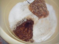味噌らしい匂い 2013/05/12 16:30:38