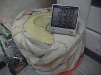 ほぼ完成！試食する 2013/07/06 21:25:32