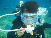 体験ダイビング、沖縄本島の砂辺海岸・青の洞窟で魚達と遊ぼう！