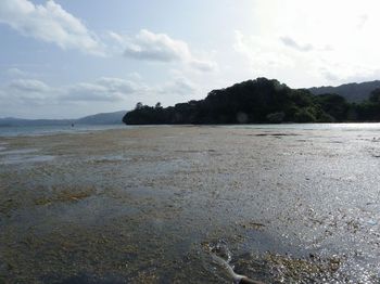 羽地内海のボート釣り