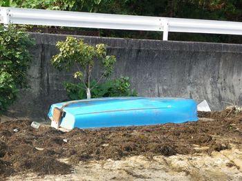 羽地内海のボート釣り