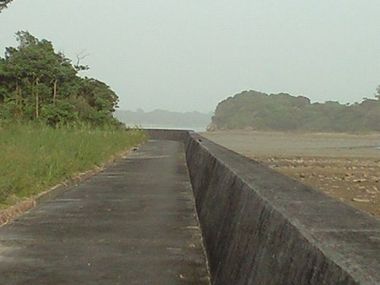 やんばるあしび　屋我地