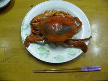 自然の恵みを頂く？