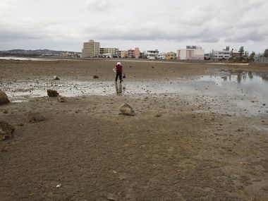 自然の恵みを頂く？