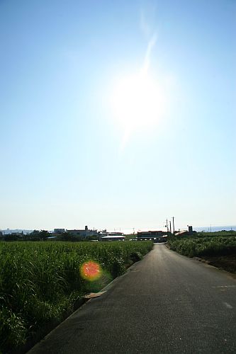 てぃーだ一本道