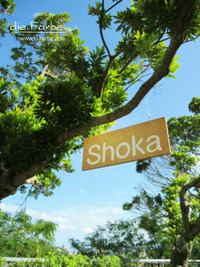 ギャラリーShoka:へ、お出かけ