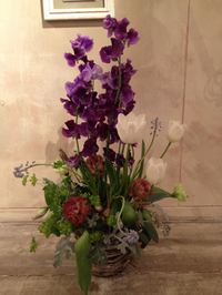 春の花〜スイトピーフェアー 2013/01/20 11:00:00