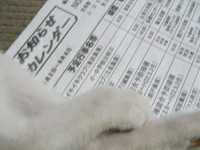 与論島お知らせカレンダー