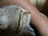 眠るのだ＾＾