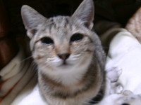 2010年ありがとう＾＾