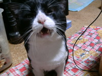 2010年ありがとう＾＾