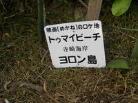 観光３