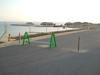 週報
