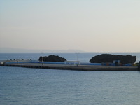 週報