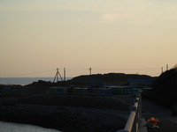 週報