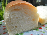 一本山食？