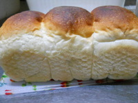 山食他