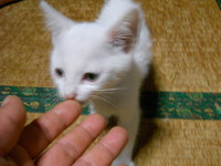 あ~