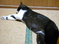 気がつけば周りに・・・