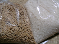 与論島産