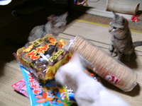 疲れたピー