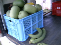 自給野菜