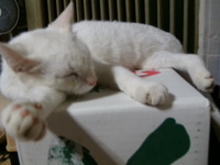 日が延びて・・・